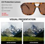 Aviator Reading Sunglasses — Black & Tortoise, 2 Pack