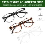 Round Blue Light Glasses — 3 Pack, Black & Tortoise